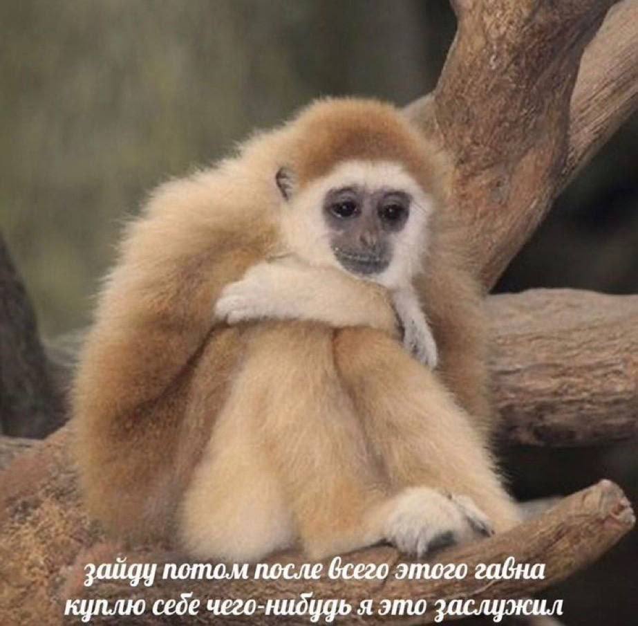 состояние в конце недели: