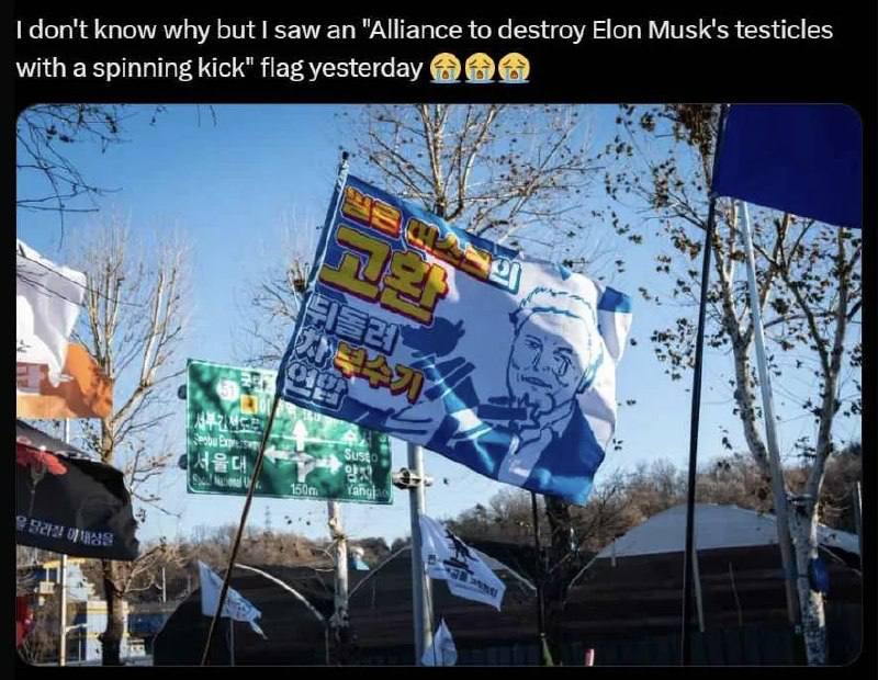 don't know why saw "Alliance to destroy Elon Musk's testicles with a spinning kick" flag yesterday MAA у И к. 4] to Sus
