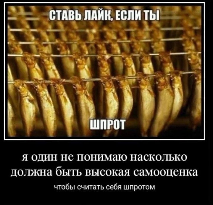 СТАВЬ ЛАИК, ЕСЛИ Thi ШПРОТ Я ОДИН ПОНИМаю Насколько должна оыть высокая самооценка чтобы считать себя шпротом