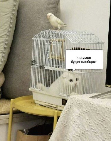 40 я думол И будет наоборот