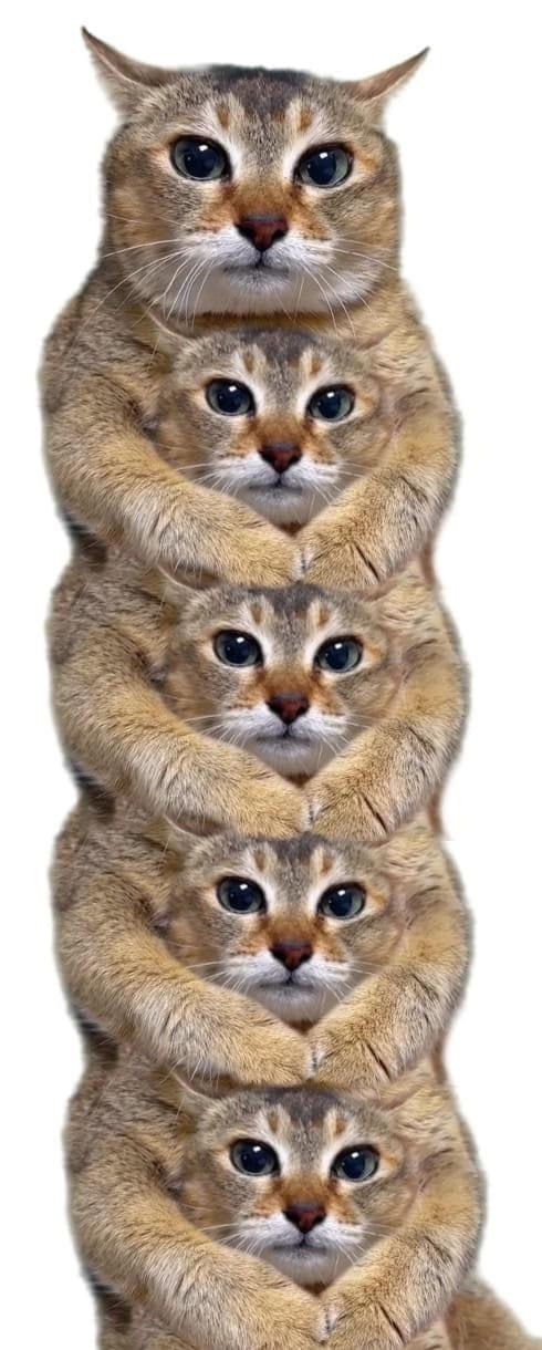 „7 7 4= 3 4 7 4 2 2 255