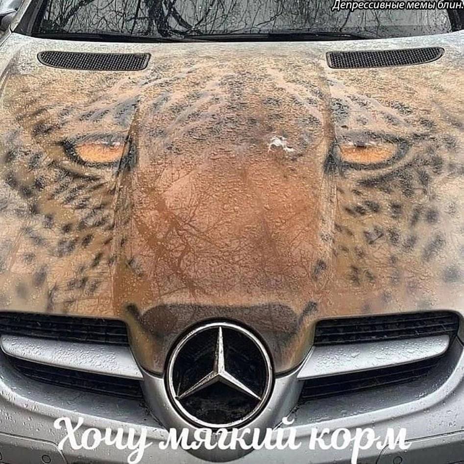 у депрессивные мемьголин. У. a я a