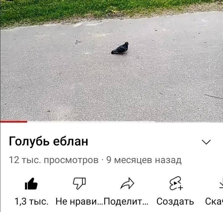 Голубь еблан 12 тыс. просмотров 9 месяцев назад A 1,3 тыс. Не нрави...Поделит... Создать Ска