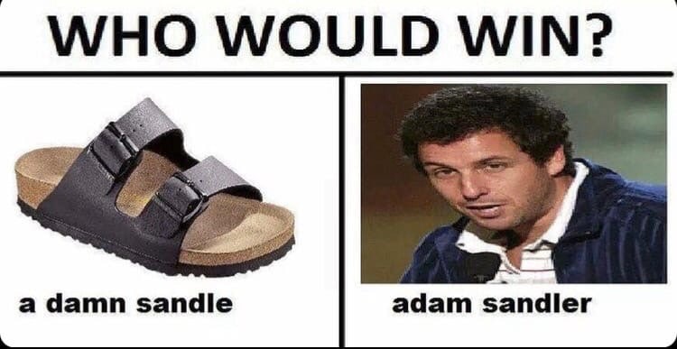 WHO WOULD WIN? a damn зап адат sandler