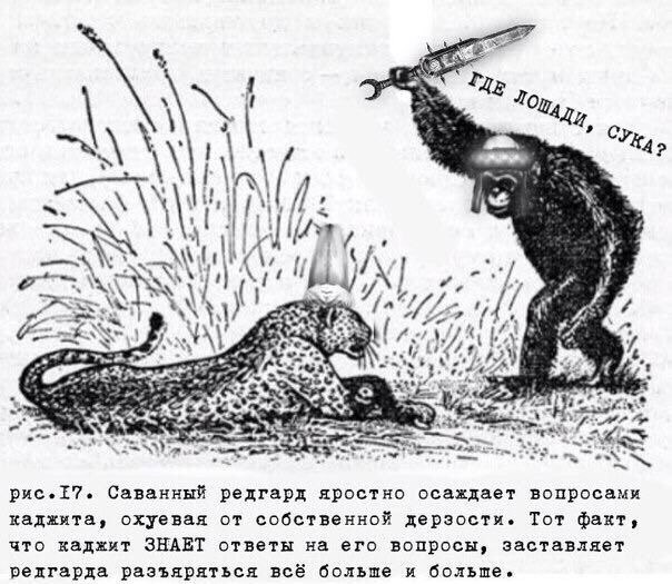 1 с 1 и Я И PAD рис.Е7. Саванный редгард яростно осаждает вопросами каджита, охуевая от собственной дерзости. Тот факт, что каджит ЗНАЕТ ответы на его вопросы, заставляет редгарда разъяряться всё боль