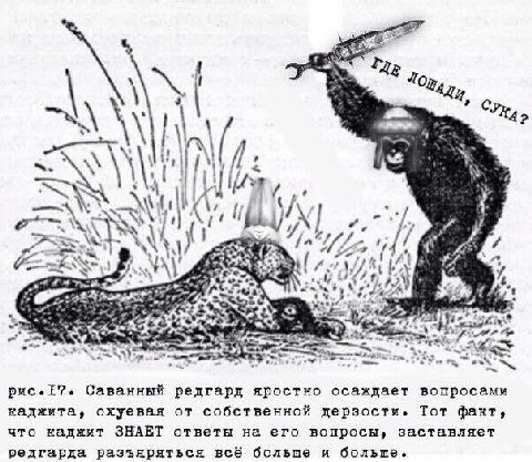 1 с 1 и Я И PAD рис.Е7. Саванный редгард яростно осаждает вопросами каджита, охуевая от собственной дерзости. Тот факт, что каджит ЗНАЕТ ответы на его вопросы, заставляет редгарда разъяряться всё боль