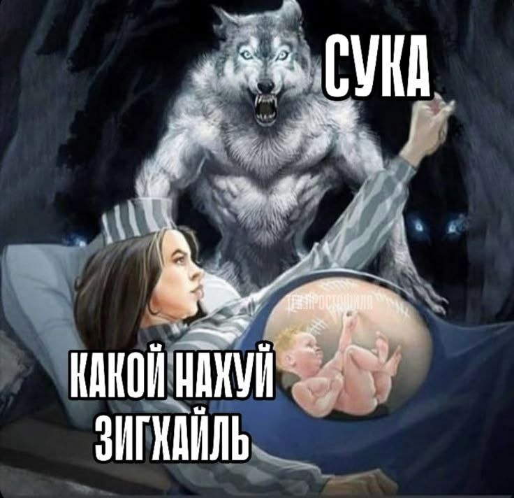 СУКА КАКОЙ ЗИГХАЙЛЬ