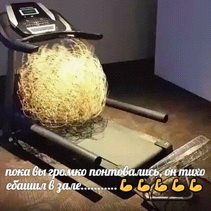 1 Я 2 OOM у пока громко понтовались, он тихо i ашил