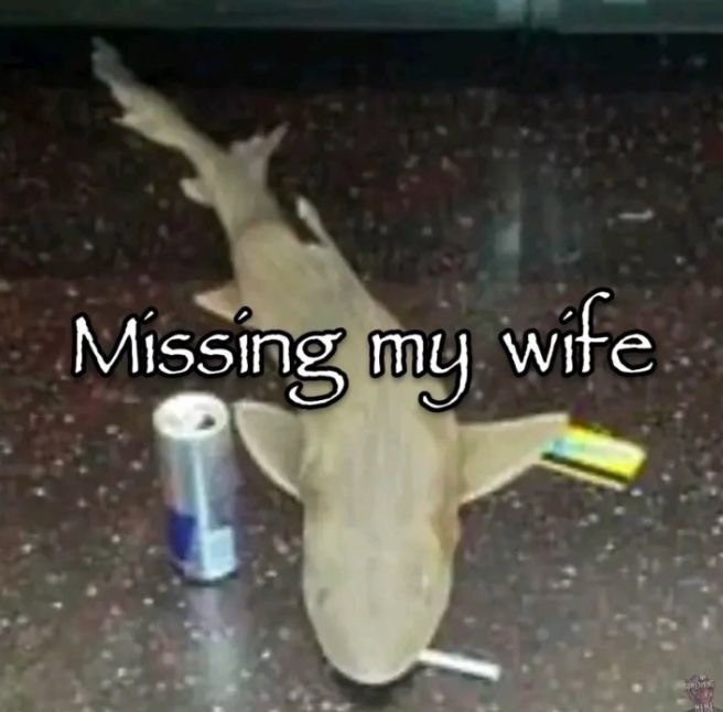 Missing, my wite