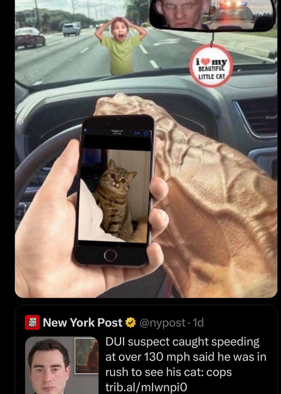 и А unter слу we. New York Post DUI suspect caught speeding at over 130 mph said he was in rush to see his cat: cops trib.al/mlwnpid