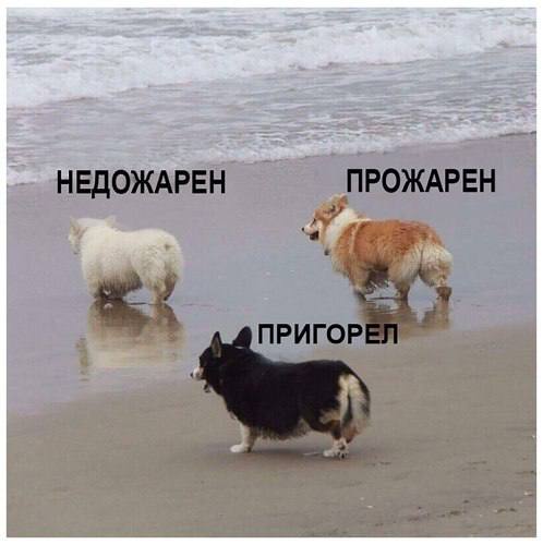 НЕДОЖАРЕН ПРИГОР