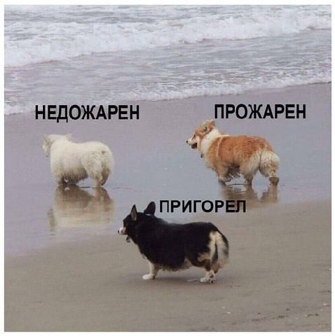 НЕДОЖАРЕН ПРИГОР