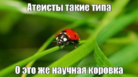 «Атеисты такие типа 0 это же научная коровка
