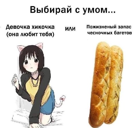 Выбирай с умом... Девочка хикочка ИЛИ Пожизненый запас чесночных багетов (она любит тебя)
