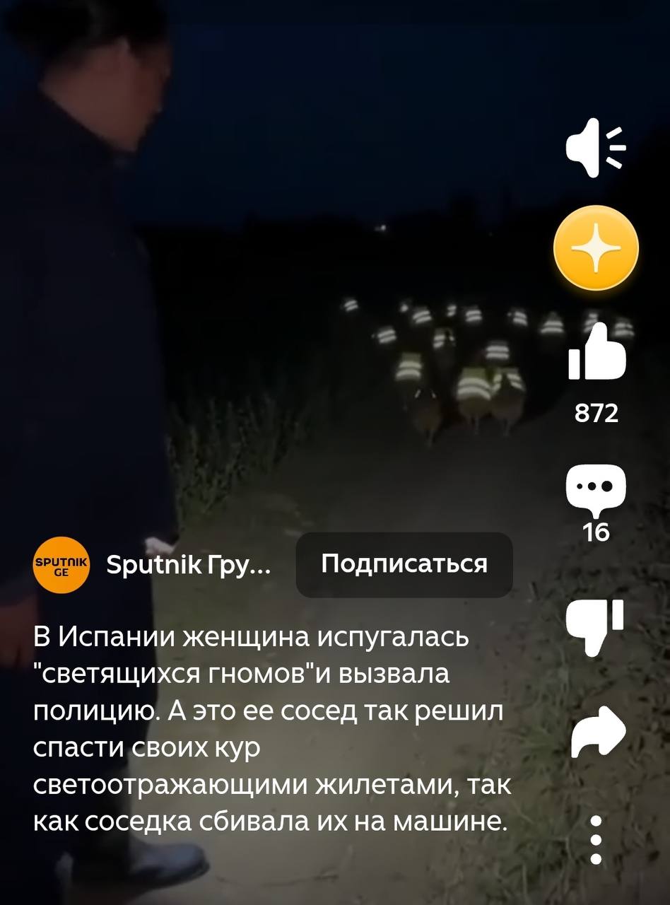 872 16 Sputnik Гру... Подписаться В Испании женщина испугалась "светящихся гномов"и вызвала полицию. А это ее сосед так решил спасти своих кур светоотражающими жилетами, так как соседка сбивала на маш
