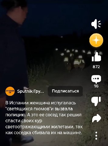 872 16 Sputnik Гру... Подписаться В Испании женщина испугалась "светящихся гномов"и вызвала полицию. А это ее сосед так решил спасти своих кур светоотражающими жилетами, так как соседка сбивала на маш