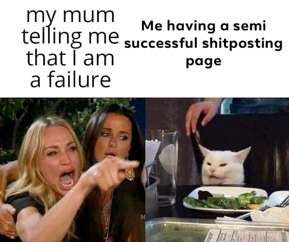 all MUM Me having a semi INS ME successful shitposting that раде a failure