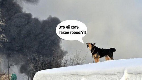 Это чё хоть такое
