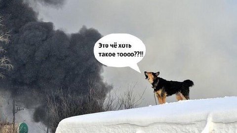 Это чё хоть такое