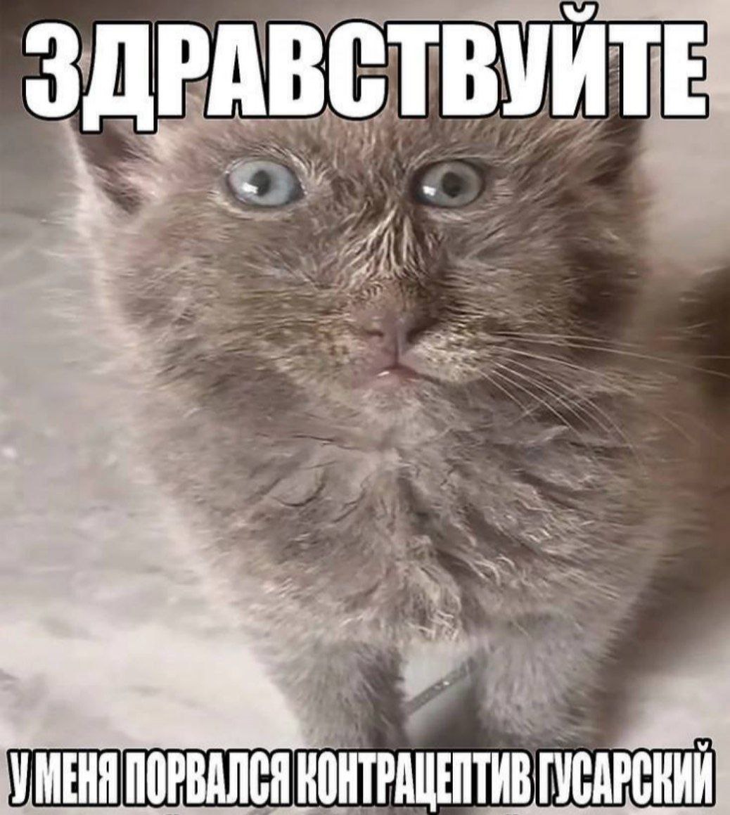 ЗДРАВСТВУЙТЕ УМЕНЯ ПОРВАЛСЯ КОНТРАЩЕПТИВ