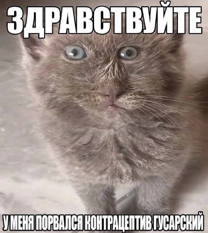 ЗДРАВСТВУЙТЕ УМЕНЯ ПОРВАЛСЯ КОНТРАЩЕПТИВ