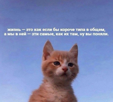 жизнь это как если бы короче типа в общем, амы в ней эти самые, как там, ну вы поняли.