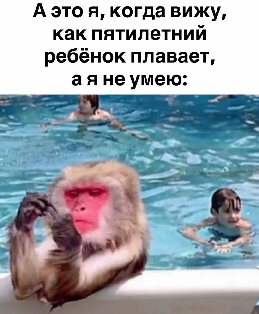 А это я, когда вижу, как пятилетний ребёнок плавает, аяне умею: 4