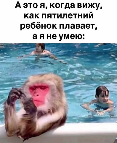 А это я, когда вижу, как пятилетний ребёнок плавает, аяне умею: 4