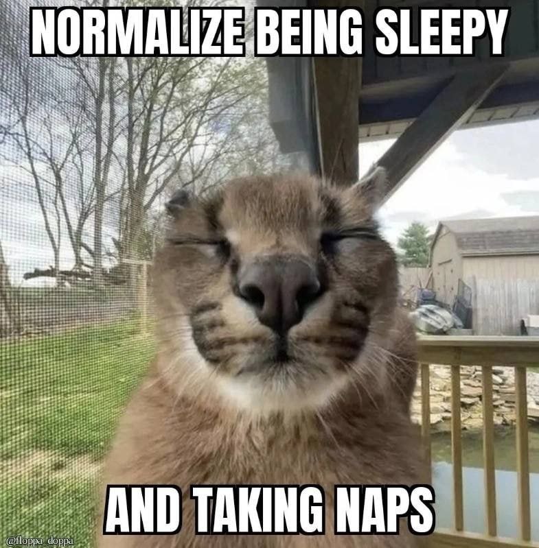 NORMA We SLEEPY 5% 4% Me is A “3 3. a: 14 Я pian AND TAKING NAP Чорра