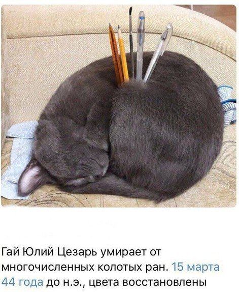 4 Гай Юлий Цезарь умирает от многочисленных колотых ран. 15 марта 44 года до цвета восстановлены