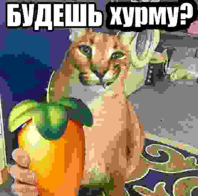 БУДЕШЬ