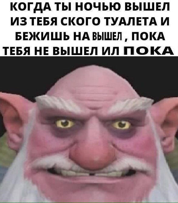 КОГДА ТЫ НОЧЬЮ ВЫШЕЛ ИЗ ТЕБЯ СКОГО ТУАЛЕТА И БЕЖИШЬ НА ВЫШЕЛ, ПОКА ТЕБЯ НЕВЫШЕЛ ПОКА у