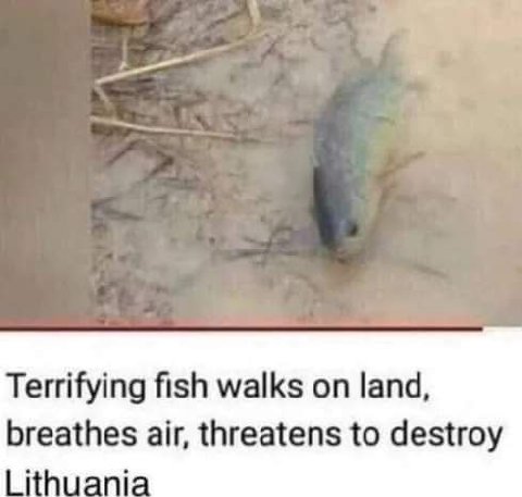 Terrifying fish walks on land, breathes air, threatens to destroy Lithuania