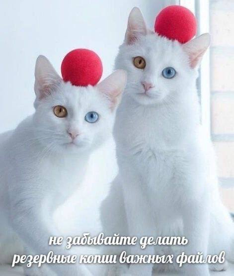у 4 2% 38 1