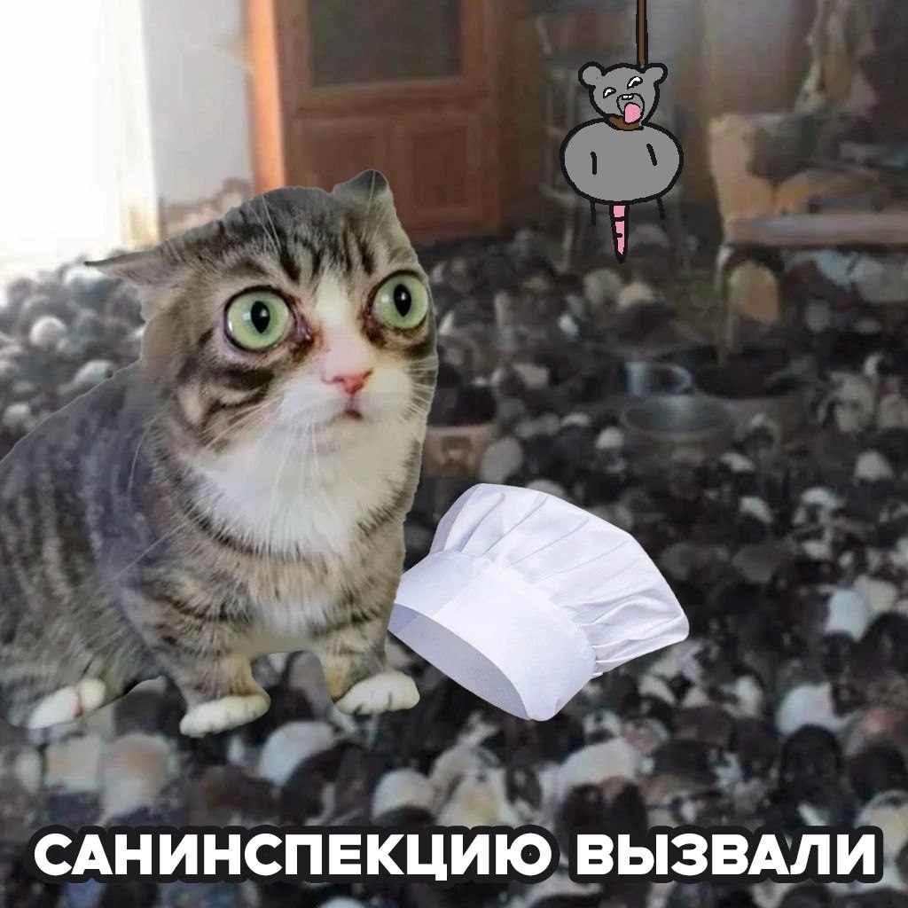 САНИНСПЕКЦИЮ ВЫЗВАЛИ