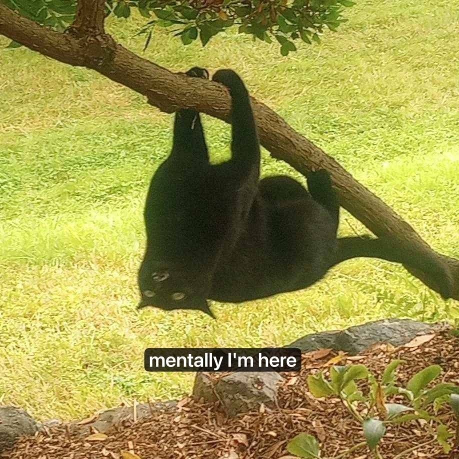 mentally here