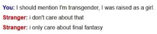 You: should mention transgender, was raised as а girl. Stranger: don't care about that Stranger: only care about final fantasy