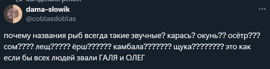 и @coblasdoblas почему названия рыб всегда такие звучные? карась? окунь?? осётр??? COM???? лещ ёрш о камбала??????? щука о это как если бы всех людей звали ГАЛЯ и ОЛЕГ