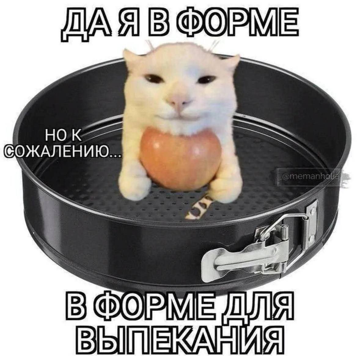 ФОРМЕ ОРМЕ Bbl