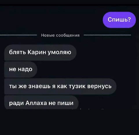 Спишь? Новые сообщения блять Карин умоляю не надо ты же знаешь я как тузик вернусь ради Аллаха не пиши