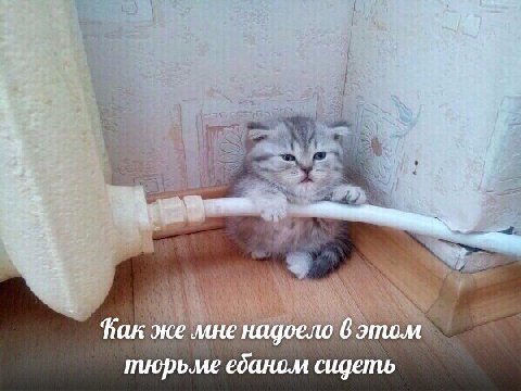 в тюрьме ебаном