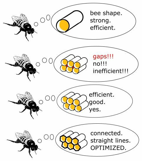 bee shape А strong efficient gaps! I 00 по!!! 98? inefficient!!! efficient good yes connected 00 straight lines OPTIMIZED
