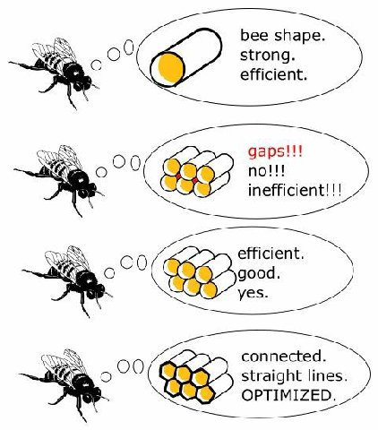 bee shape А strong efficient gaps! I 00 по!!! 98? inefficient!!! efficient good yes connected 00 straight lines OPTIMIZED