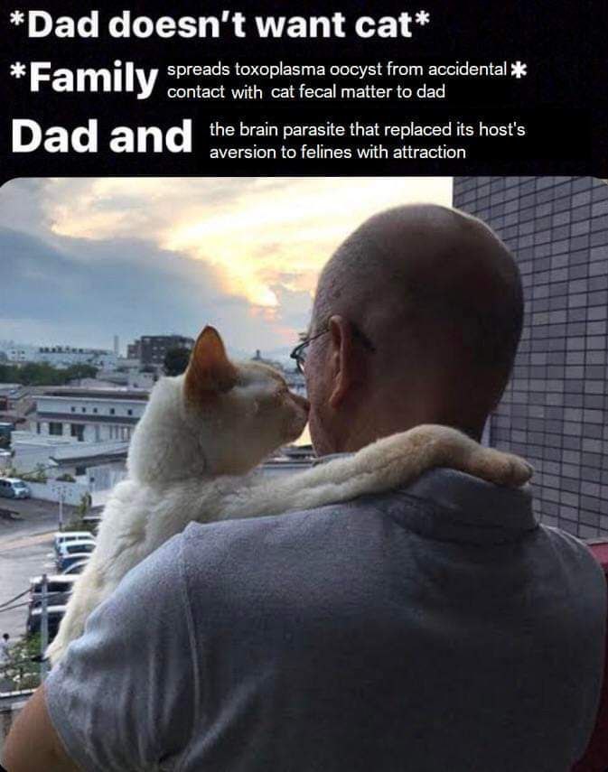 *Dad doesn’t want spreads toxoplasma oocyst from accidental Ж *Family contact with cat fecal matter to dad the brain parasite that replaced its host's Dad an aversion to felines with attraction