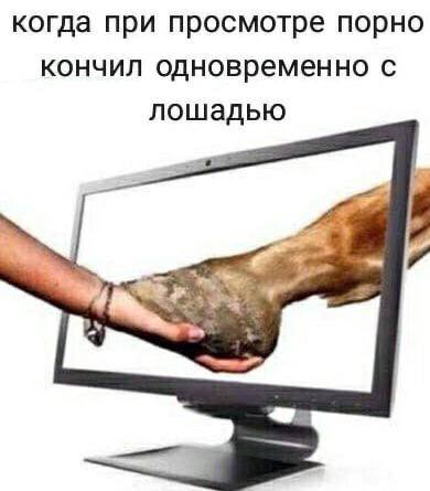 когда при просмотре порно кончил одновременно с лошадью