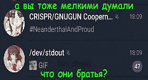 а вы тоже мелкими думали 18:09 CRISPR/GNUGUN Coopern... #NeanderthalAndProud /dev/stdout GIF что они братья?