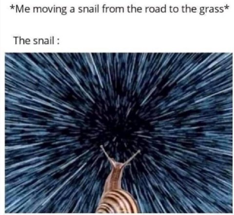 *Me moving а snail from the road to the grass* The snail