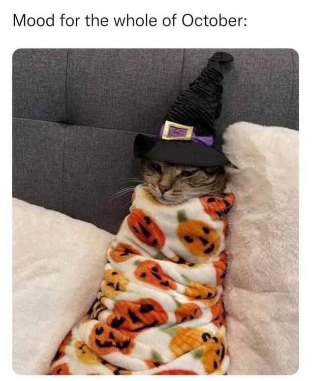 Mood for the whole of October: