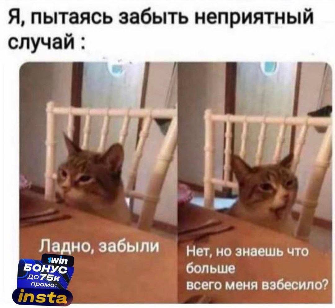Я, пытаясь забыть неприятный случай В Ладно, забыли Нет, но знаешь что БОНУС больше до7Бк промо. всего меня вэбесило? Ista