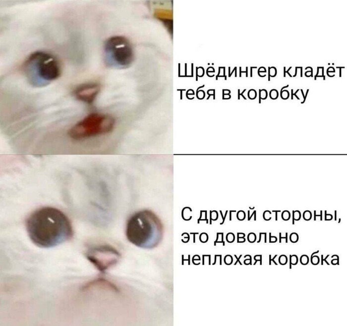 Шрёдингер кладёт тебя в коробку С другой стороны, это довольно неплохая коробка